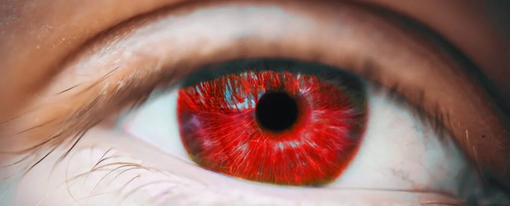 早晨的短暂红光已被证明可以改善视力下降插图