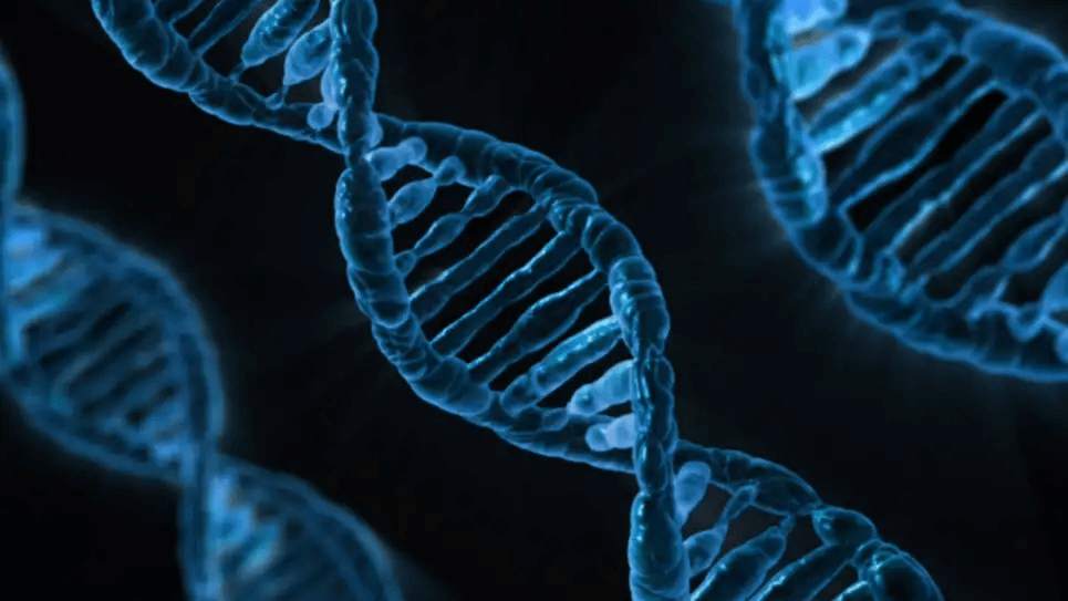微软刚刚开发出史上第一个纳米级DNA存储写入器插图