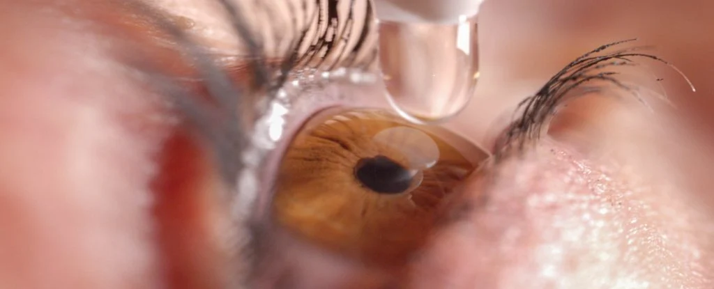 FDA首次批准“老花眼”眼药水投入临床插图