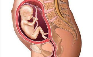 吉尼斯纪录 妊娠21周仅1%不到的存活几率却活下来的婴儿插图