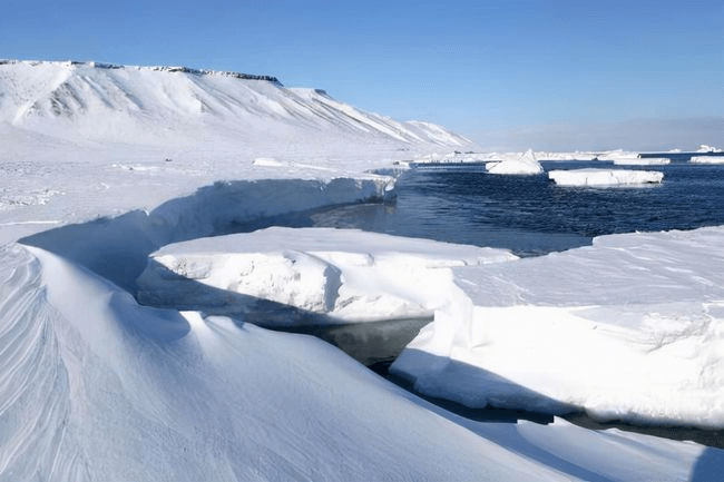 WMO官方确认：北极最高温纪录为38度插图