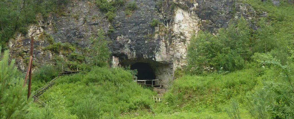 西伯利亚洞穴出土最古老的神秘人类祖先遗骸插图
